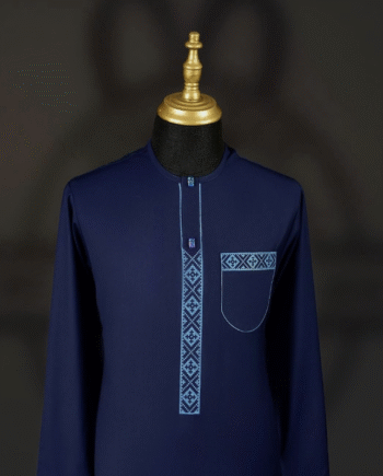 Men's Navy Blue Senator Wear with Intricate Embroidery